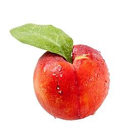 水果元素产品实物福州6·18项目成果交易会新鲜红瓤火龙果水果元素